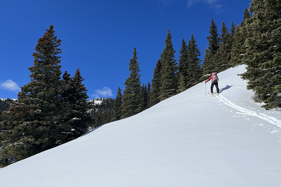 Clumps better than my kitty litter at home!