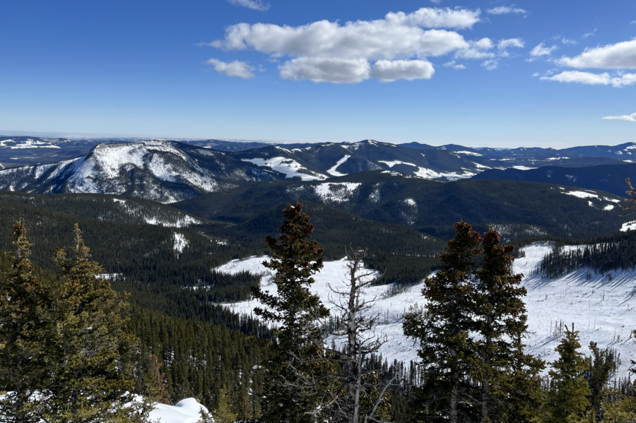 Myosotis Peak is possibly another good candidate for a front-range ski ascent...