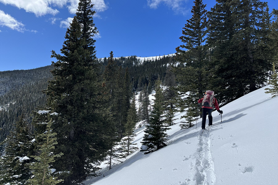 Just a little further, please...