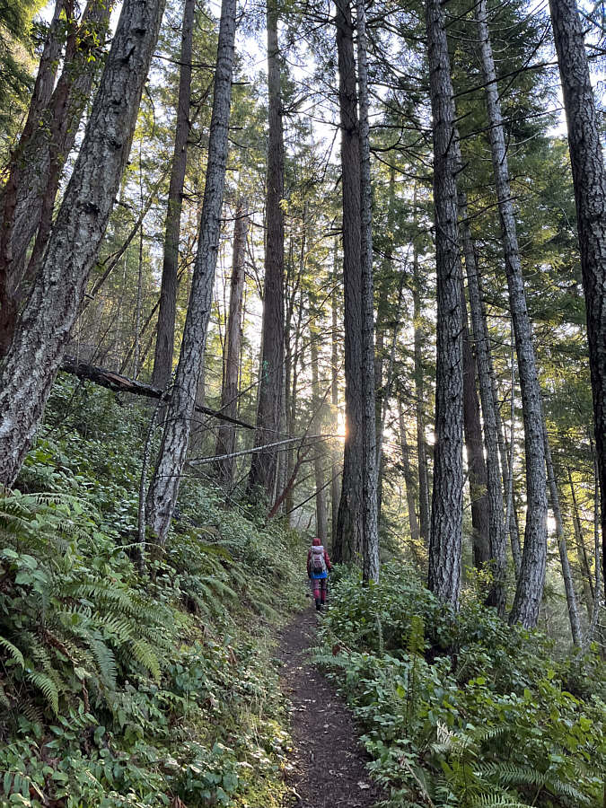 Ideal for self-contemplation...