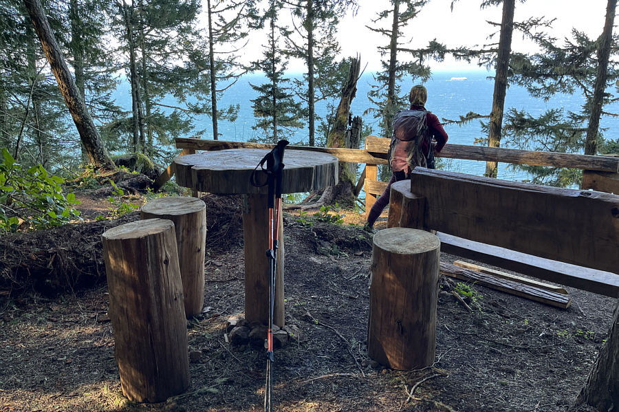 They clear-cutted half the mountain, so why couldn't they have chopped down a few more trees here to open up the views?