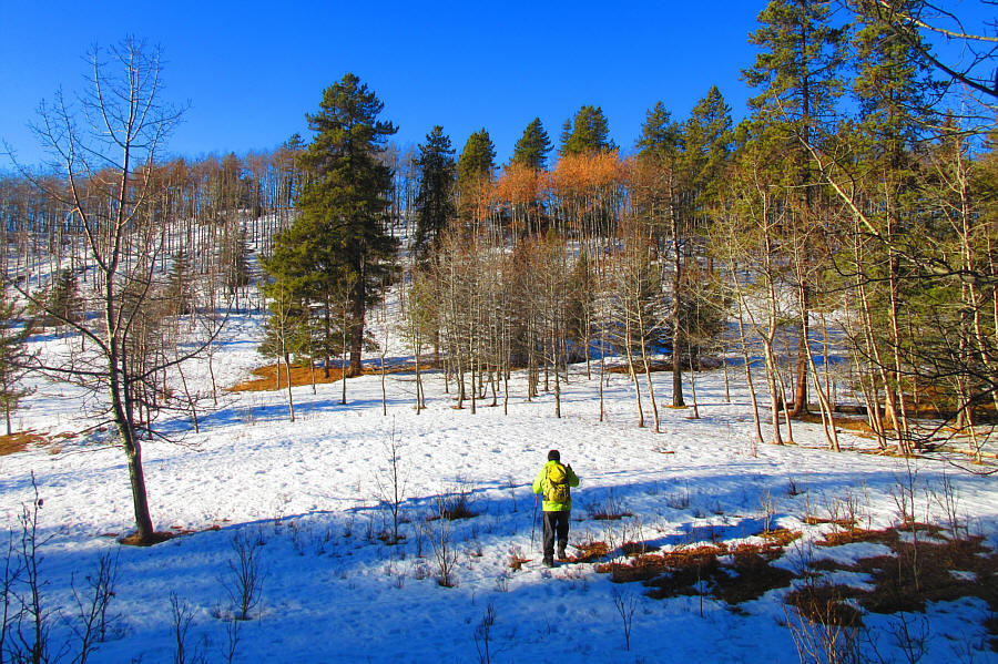 We spotted a herd of deer just before this.