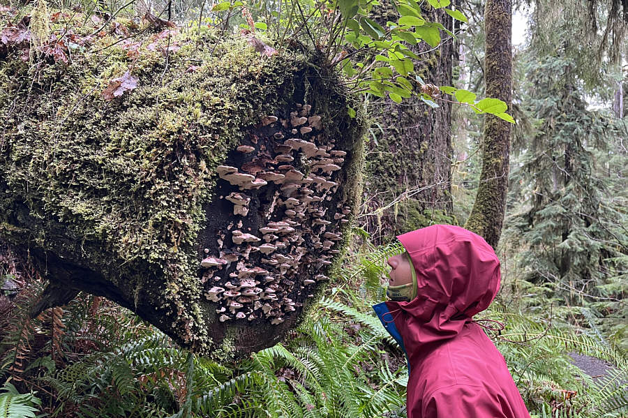 She looks like she wants to taste one!