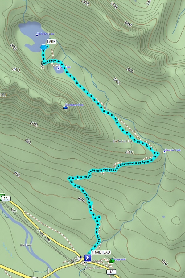 Not much in the way of making turns, but it's a good winter work-out nonetheless.