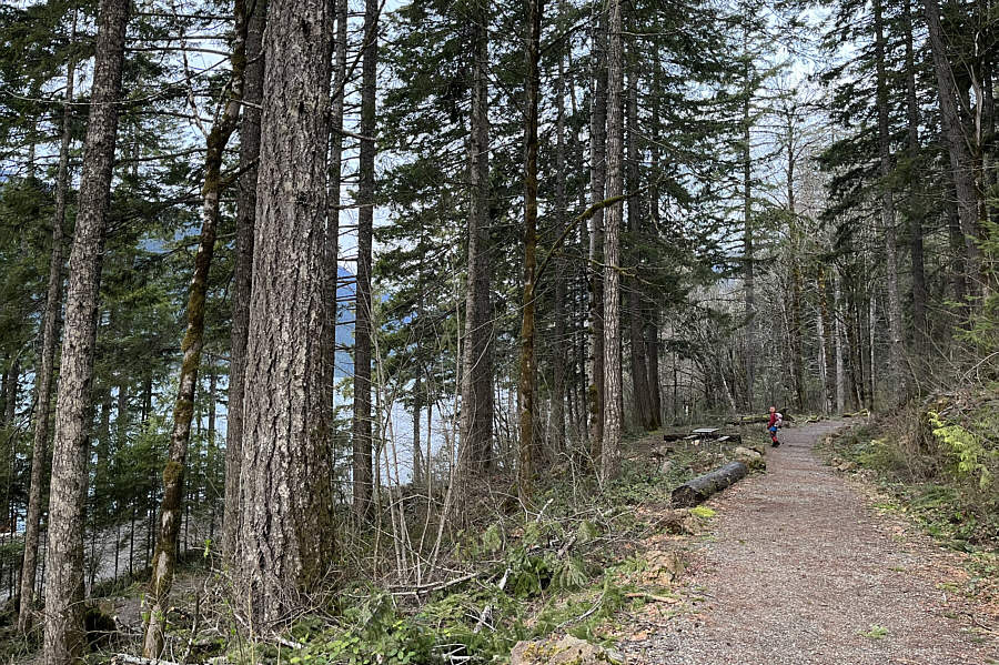 Starts off easy enough!