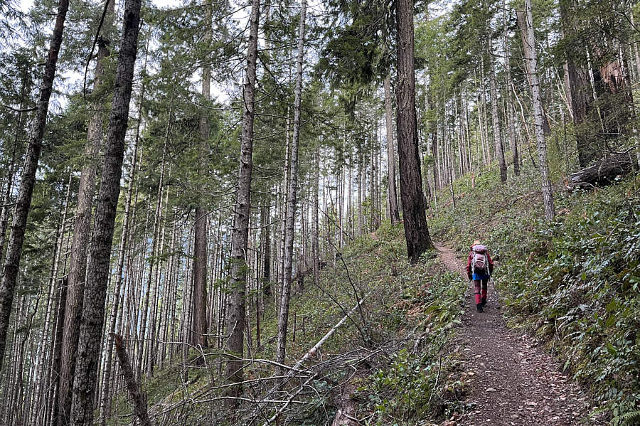 Most of the ascent is like this!