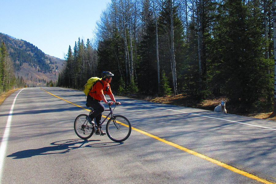 Don't worry; that's just me huffing and puffing after a brutal uphill climb!