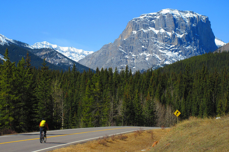 A fantastic photo by Zosia!