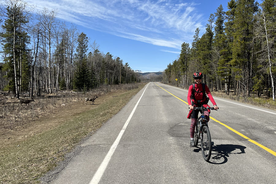 I guess we're no longer in Sheep River Provincial Park!