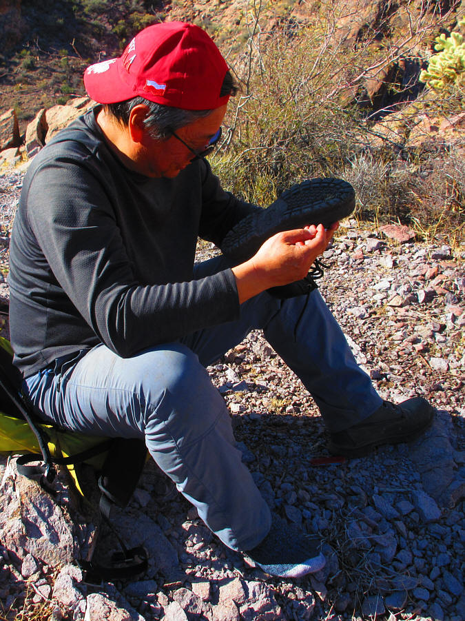 Those spines are insidious things!