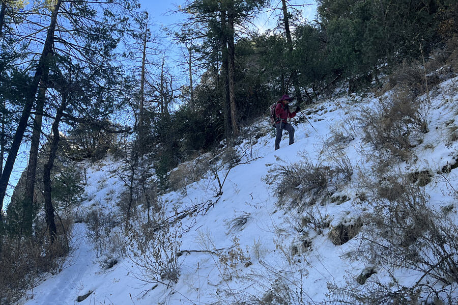 Fortunately, someone already broke trail for us!