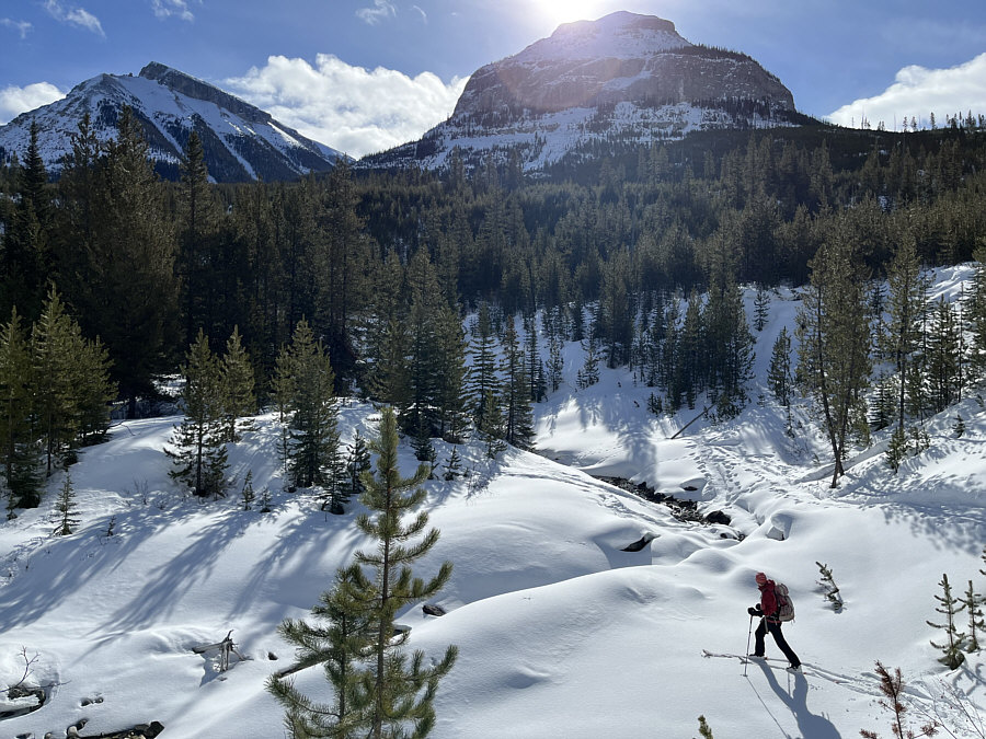 I should've just parked on the highway below the fire break and skipped all this crap!