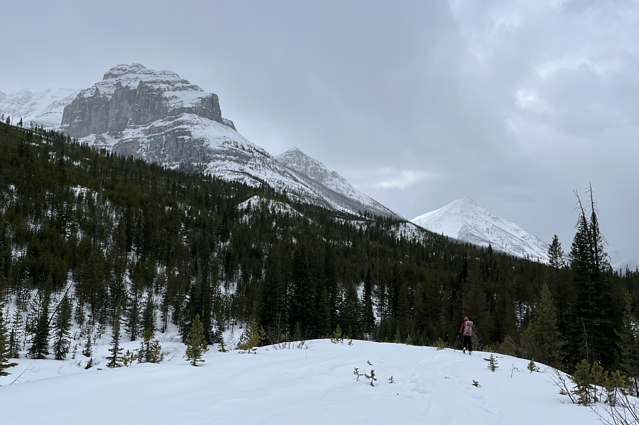 Oh well, the sunshine was nice while it lasted.