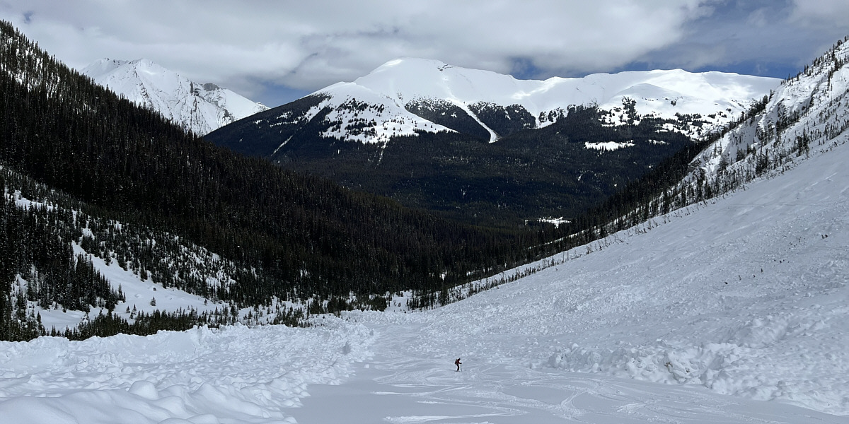 Almost seems like somebody plowed the corridor!