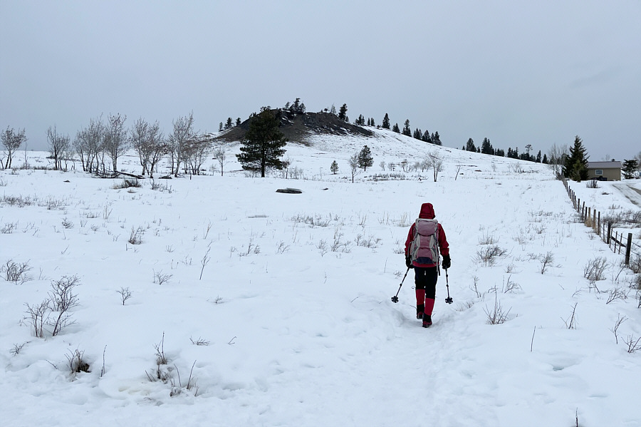 Lotsa dog poop around here; watch your step!