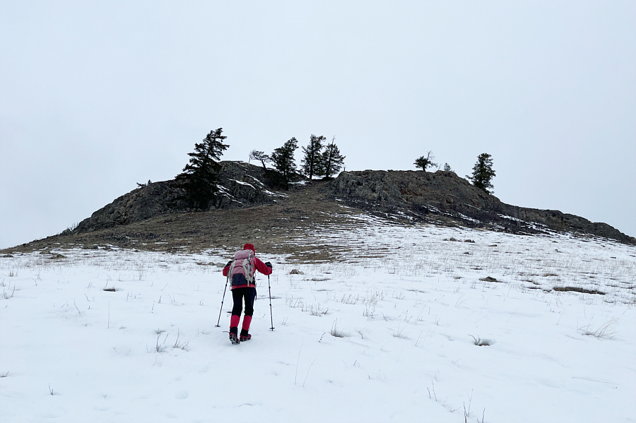 Lotsa deer poop around here; watch your step!