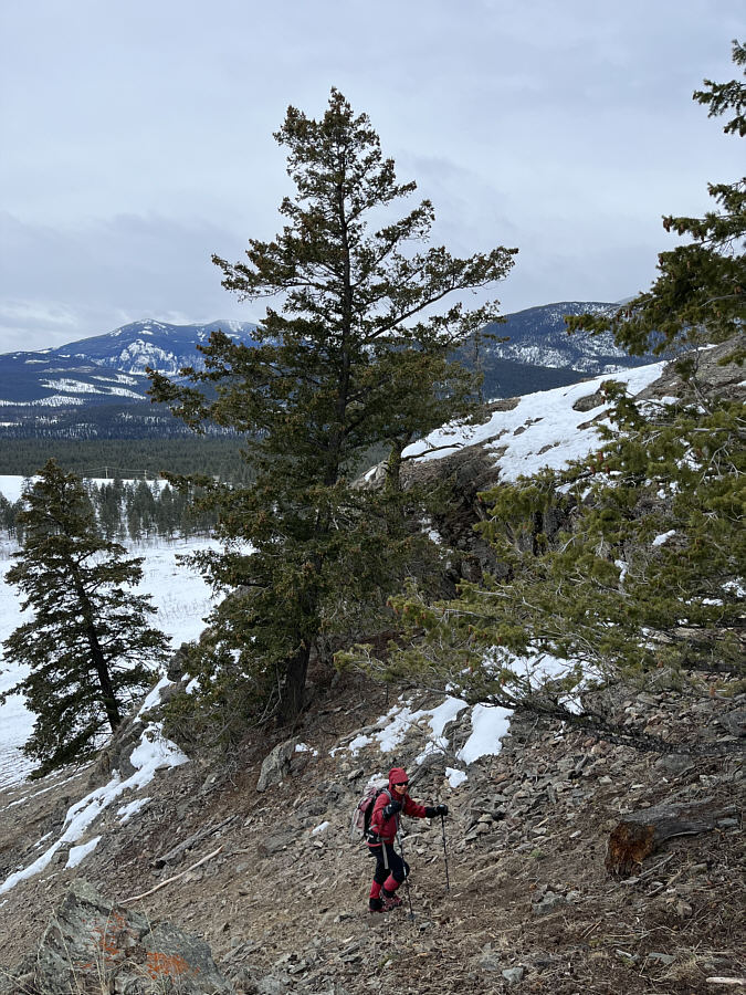 No scrambling required!