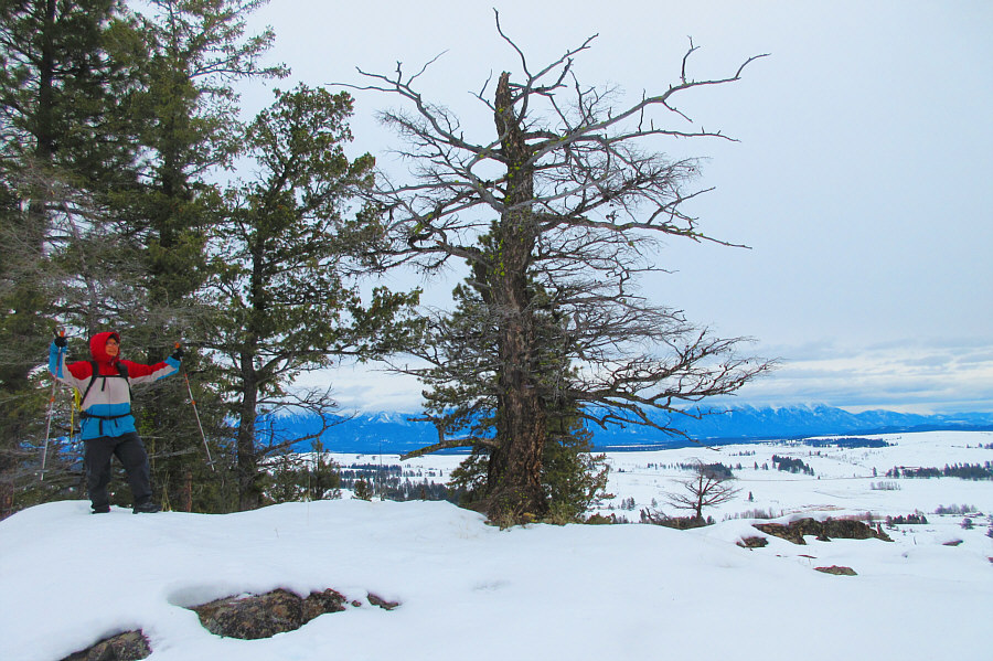 Rather anticlimactic after gaining the top of the cliffs.