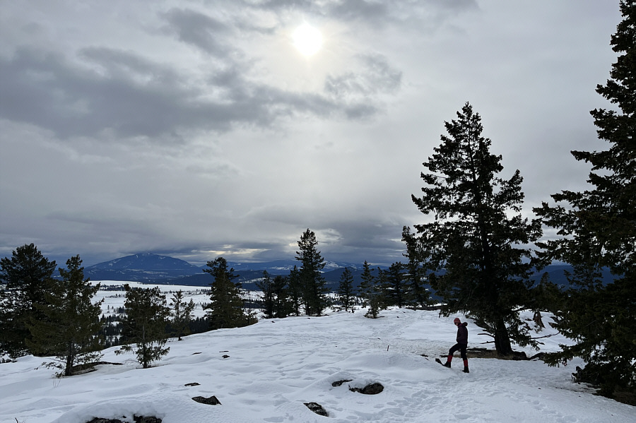 Although it's quite open, the trees kinda kill the panoramic views.