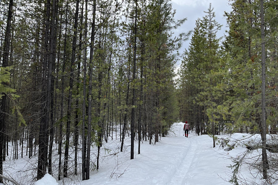 We could've skied this part!