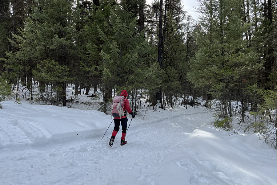 Thank heavens for ATV enthusiasts!