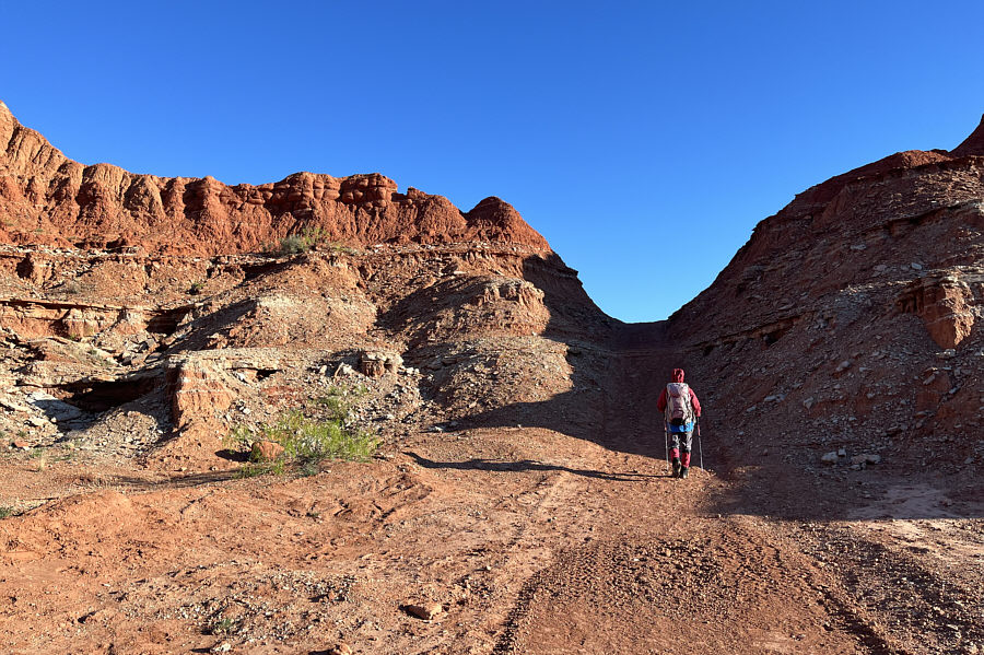 We'll head them off at the pass!