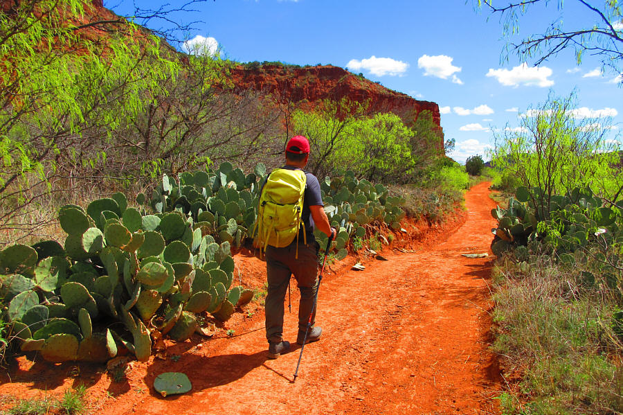 Glad we're not bushwhacking here!