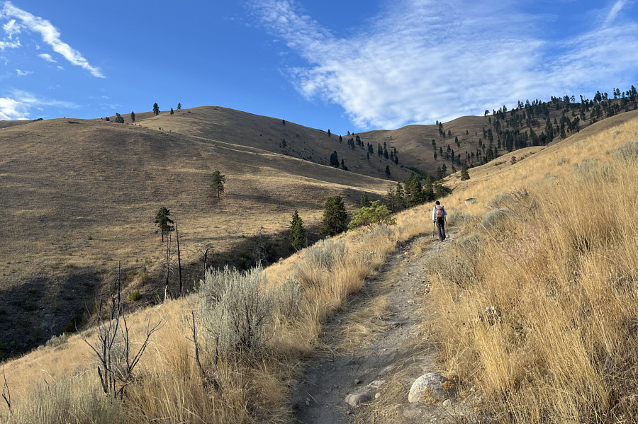 Pretty gentle ascent so far...