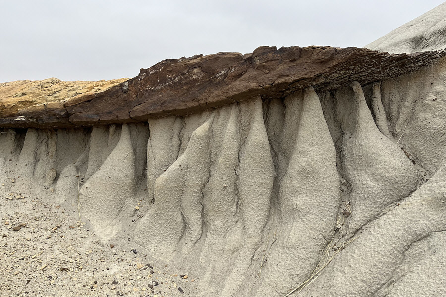 Natural work of art!