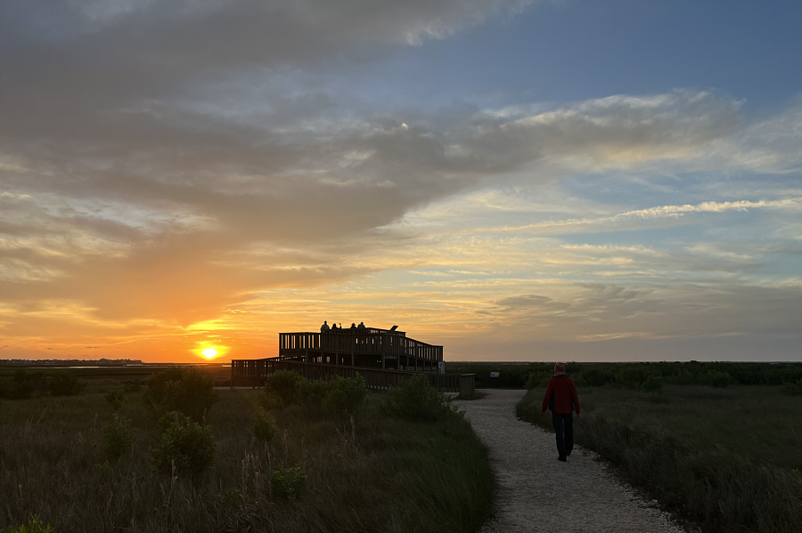 Watch for little bunnies around here!