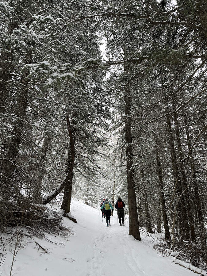 The trail apparently was an ice rink only a week earlier.