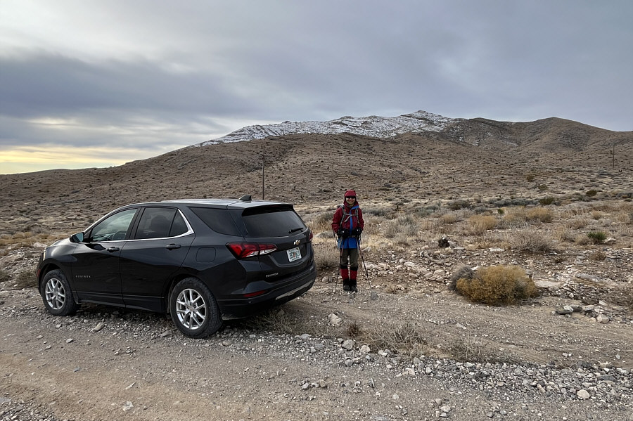 No trail, no bush, no problem!