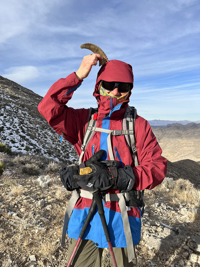 Do I make you horny?