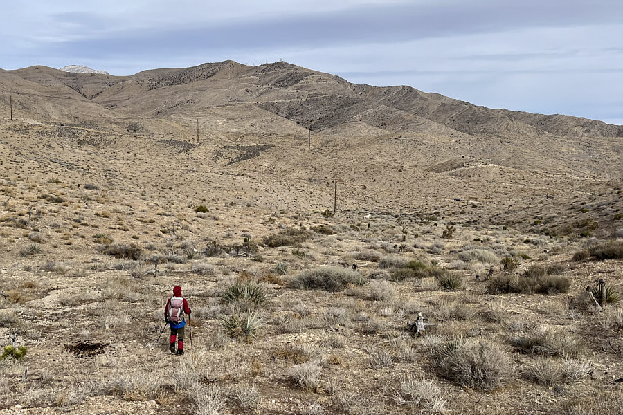 Watch your step around here...lotsa horse poop!