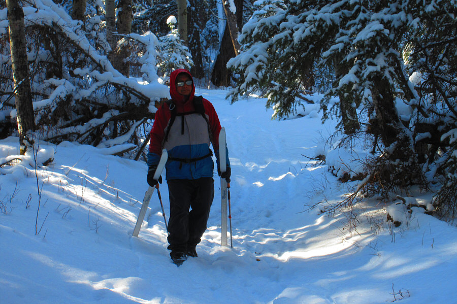 Lotsa sharks here too!