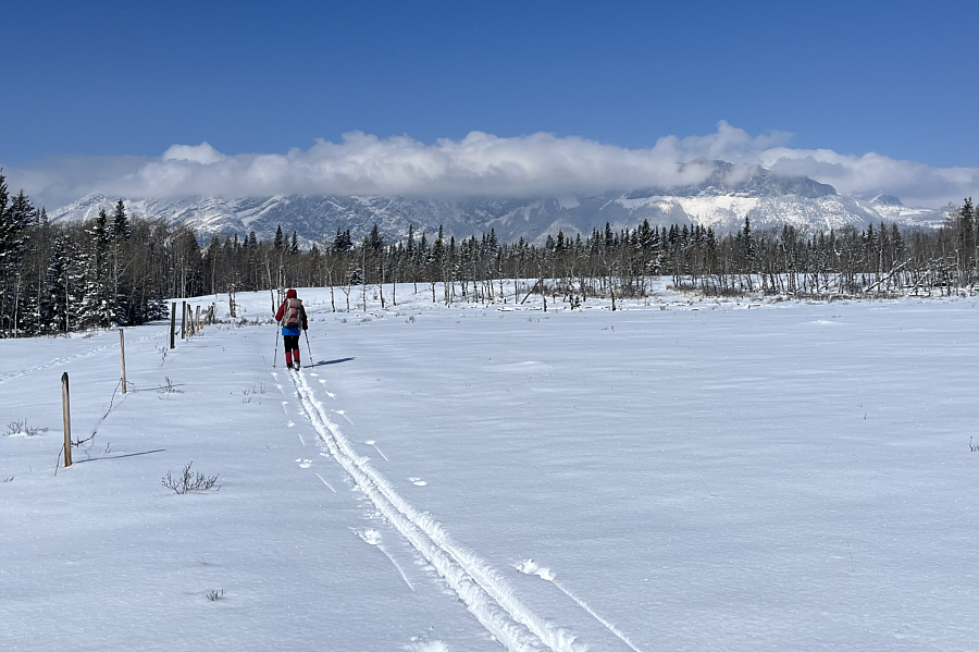 Like wild animals, I'm always testing the boundaries...