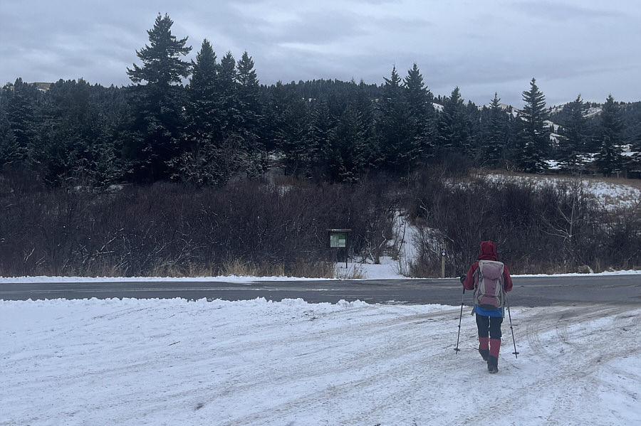 Super icy here--watch your step!