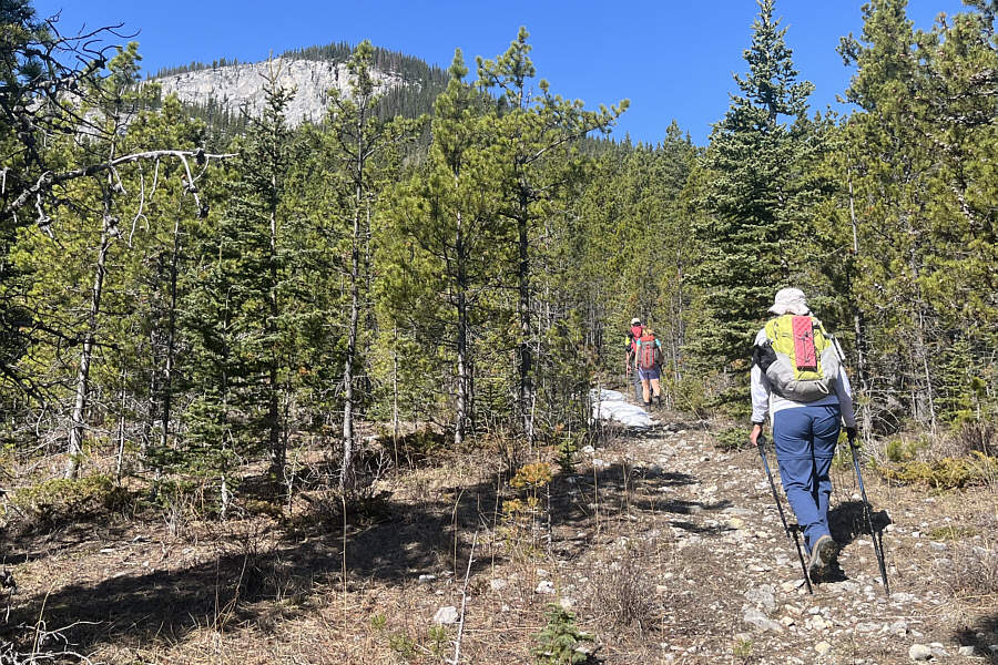 Don't come this way!