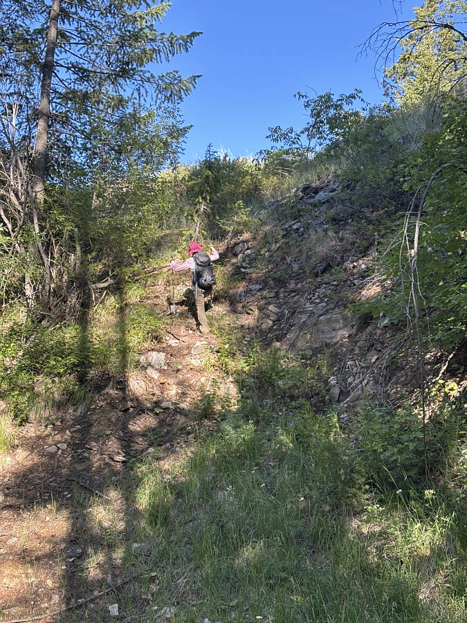 The bushwhacking is pretty light...so far!