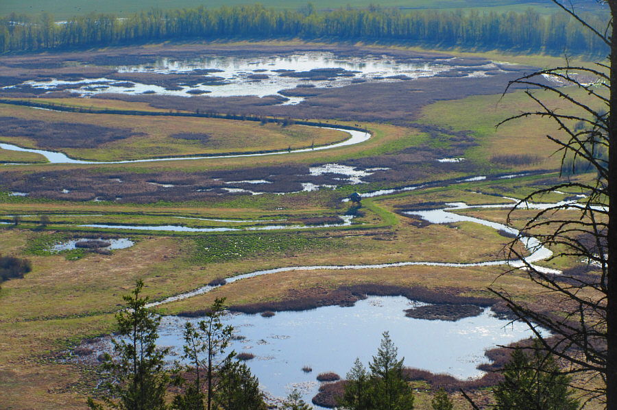 We will go check it out later!