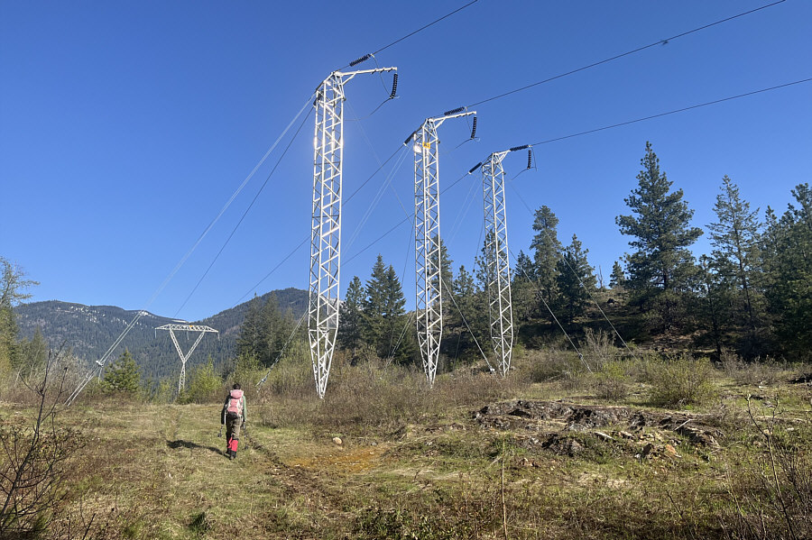 Can you hear the wires humming?