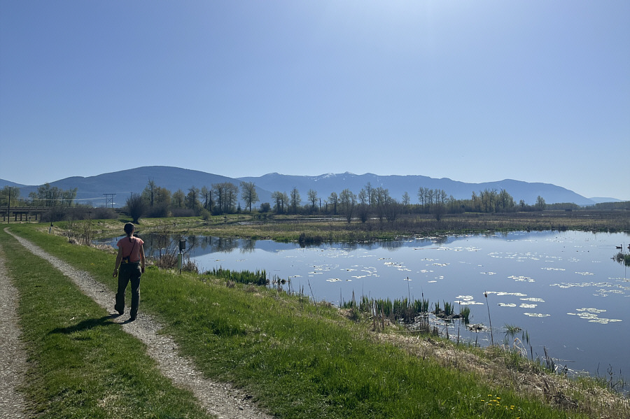 No alligators, thank goodness!