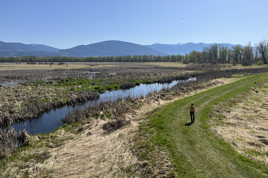 There's a lot of goose poop on the dyke as well!