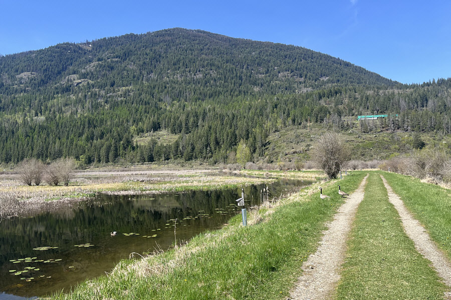 I wonder if the office is also full of bird poop...