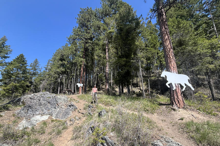 They should install a 3rd goat here!