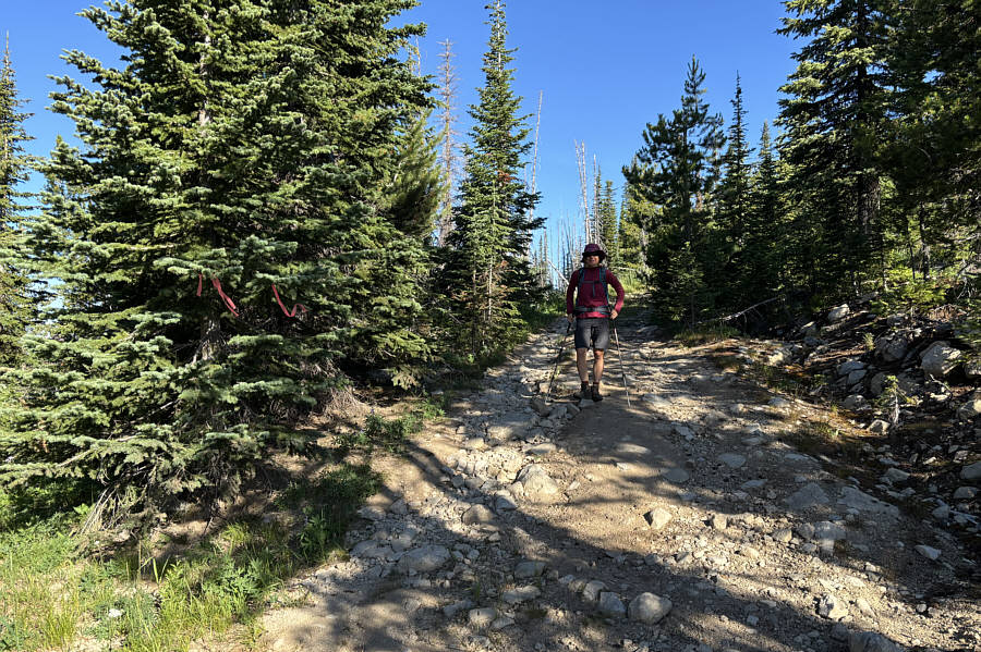 This was also where the road was supposed to get rougher...if it wasn't already rough enough!