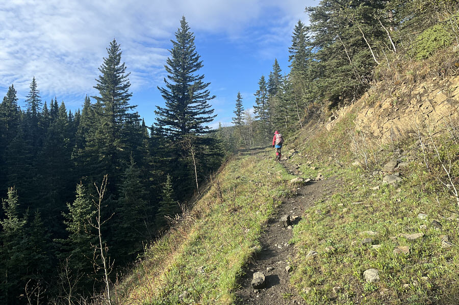 And less cow poop here too!