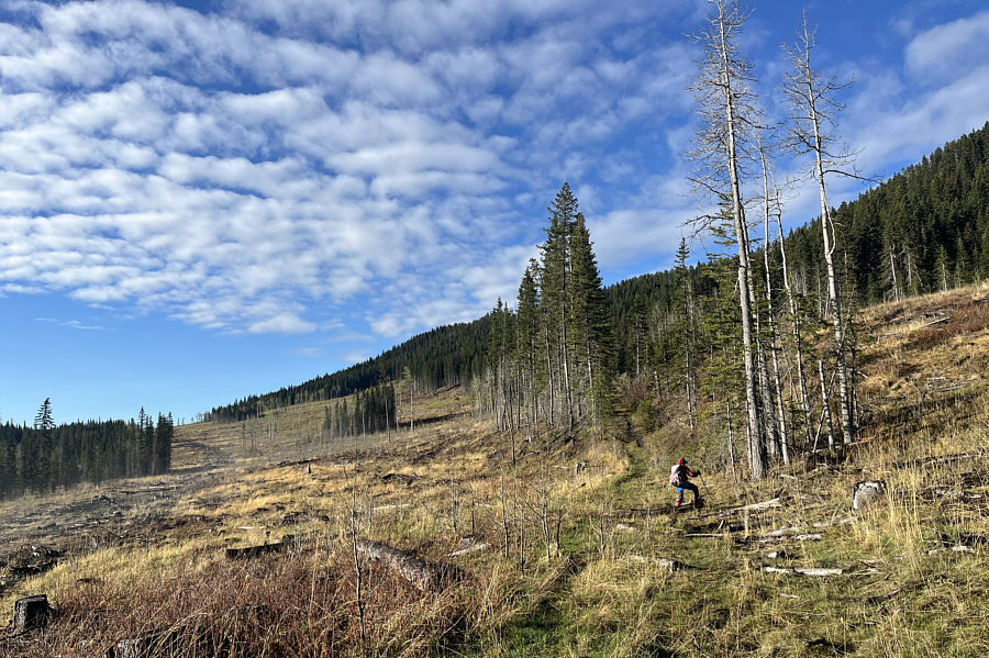 Don't get suckered into staying on this road too long!