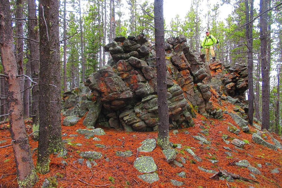 Maybe the most interesting feature on Blue Ridge!