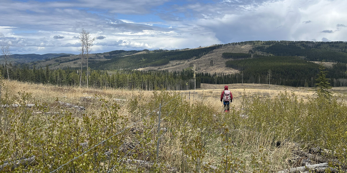 It should keep you from walking around in circles!